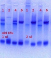 Thumbnail for version as of 22:06, 5 October 2018