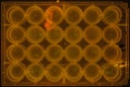 Thumbnail for version as of 17:17, 5 May 2016