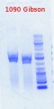 Thumbnail for version as of 10:56, 27 April 2012