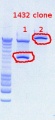 Thumbnail for version as of 14:10, 24 October 2012