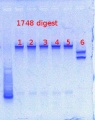 Thumbnail for version as of 13:59, 10 May 2013