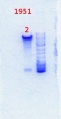Thumbnail for version as of 13:57, 16 December 2013