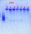 Thumbnail for version as of 15:04, 7 February 2014
