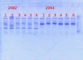Thumbnail for version as of 11:43, 28 March 2014