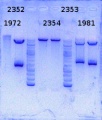 Thumbnail for version as of 12:09, 14 November 2014