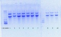Thumbnail for version as of 17:59, 25 August 2016