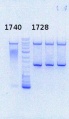 Thumbnail for version as of 13:37, 12 September 2013