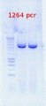 Thumbnail for version as of 14:02, 20 August 2012