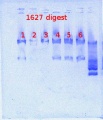 Thumbnail for version as of 12:49, 4 February 2013