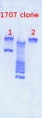 Thumbnail for version as of 14:15, 22 March 2013