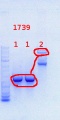 Thumbnail for version as of 16:00, 18 July 2013