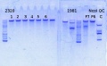 Thumbnail for version as of 17:33, 16 September 2014