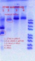 Thumbnail for version as of 19:08, 17 May 2020
