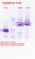 Thumbnail for version as of 10:47, 18 May 2020