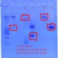 Thumbnail for version as of 14:17, 27 October 2011