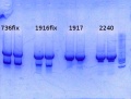 Thumbnail for version as of 12:02, 29 October 2014