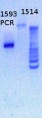 Thumbnail for version as of 14:57, 12 February 2013