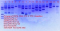 Thumbnail for version as of 14:29, 29 March 2018