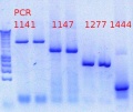 Thumbnail for version as of 16:48, 30 November 2012