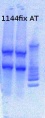 Thumbnail for version as of 16:53, 1 May 2013