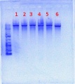 Thumbnail for version as of 10:13, 7 June 2012