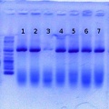 Thumbnail for version as of 13:35, 15 June 2012