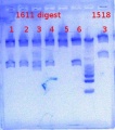 Thumbnail for version as of 14:40, 16 January 2013