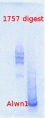 Thumbnail for version as of 14:46, 12 June 2013