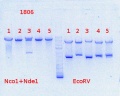 Thumbnail for version as of 11:37, 19 August 2013