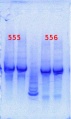 Thumbnail for version as of 11:38, 7 June 2013