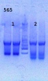 Thumbnail for version as of 16:47, 26 April 2013