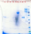 Thumbnail for version as of 16:08, 10 July 2013
