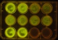 Thumbnail for version as of 11:24, 17 January 2012