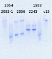 Thumbnail for version as of 15:49, 9 July 2014