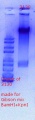 Thumbnail for version as of 18:39, 13 March 2018