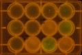 Thumbnail for version as of 11:09, 28 April 2011
