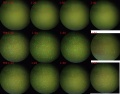 Thumbnail for version as of 15:14, 25 April 2011