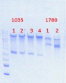 Thumbnail for version as of 14:59, 23 July 2013