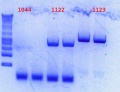 Thumbnail for version as of 14:59, 27 December 2012