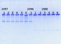 Thumbnail for version as of 16:30, 20 February 2014