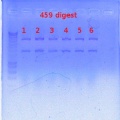 Thumbnail for version as of 16:23, 3 January 2012