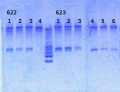 Thumbnail for version as of 16:12, 26 April 2013