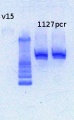 Thumbnail for version as of 15:21, 7 February 2013