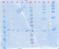 Thumbnail for version as of 14:21, 23 April 2018