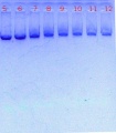 Thumbnail for version as of 16:15, 19 November 2012