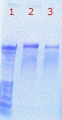 Thumbnail for version as of 15:37, 30 June 2011