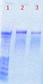 Thumbnail for version as of 15:40, 30 June 2011
