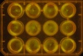 Thumbnail for version as of 11:47, 28 December 2011