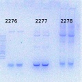 Thumbnail for version as of 15:49, 9 July 2014