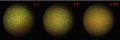 Thumbnail for version as of 16:28, 21 February 2012
